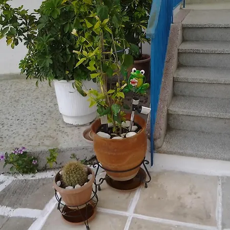 Ξενοδοχείο με διαμερίσματα Anastasia Μέθανα